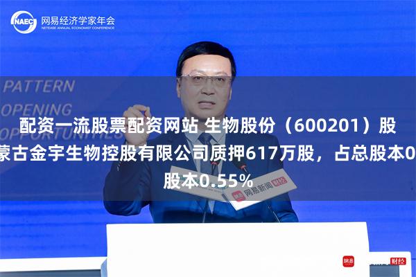 配资一流股票配资网站 生物股份（600201）股东内蒙古金宇生物控股有限公司质押617万股，占总股本0.55%