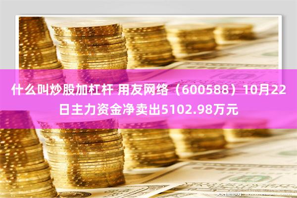 什么叫炒股加杠杆 用友网络（600588）10月22日主力资金净卖出5102.98万元