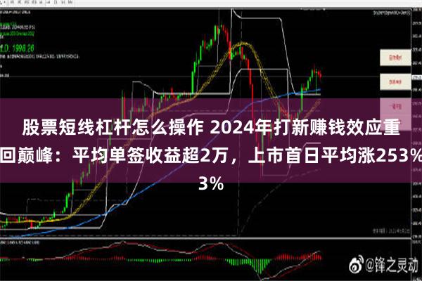 股票短线杠杆怎么操作 2024年打新赚钱效应重回巅峰：平均单签收益超2万，上市首日平均涨253%