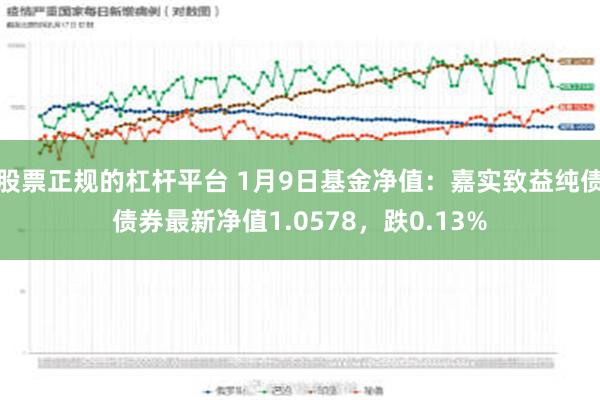 股票正规的杠杆平台 1月9日基金净值：嘉实致益纯债债券最新净值1.0578，跌0.13%