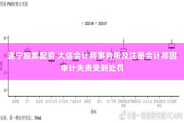 遂宁股票配资 大信会计师事务所及注册会计师因审计失责受到处罚